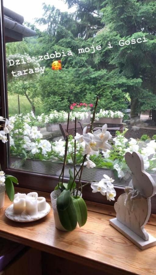 Ferienwohnung Poncyljuszowka Szczyrk Exterior foto